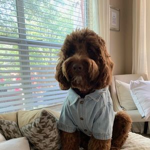 Meet your Posher, Adelaida